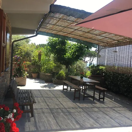 Gelsomini * Massa (Tuscany)