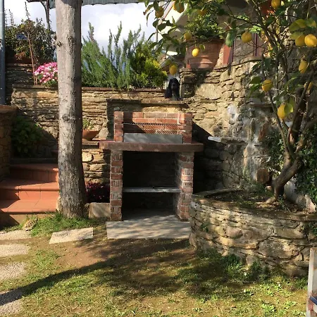 Gelsomini * Massa (Tuscany)