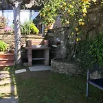Gelsomini *