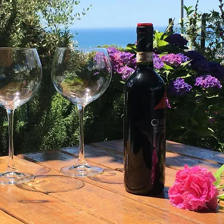 Gelsomini * Massa (Tuscany)