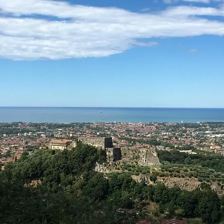 Gelsomini