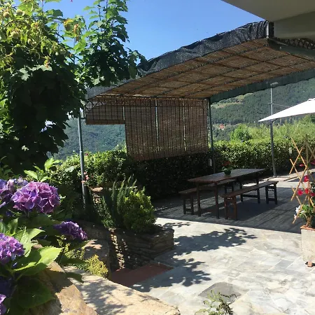 Gelsomini * Massa (Tuscany)