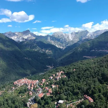 Gelsomini Massa (Tuscany)