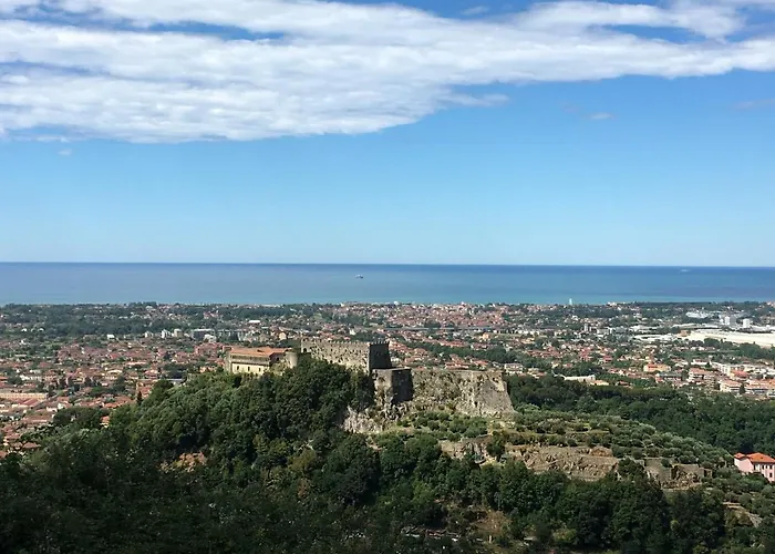 Gelsomini